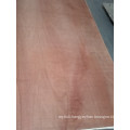 9mm Bintangor/Red Meranti/Okoume Plywood, Commercial Plywood